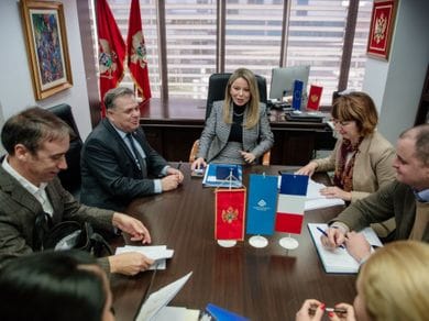Predstavnicii Udruženja francusko-crnogorskih kompanija posjetili IRF